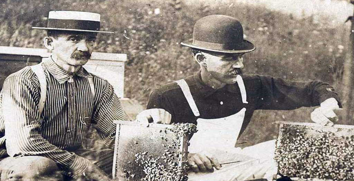 old beekeepers